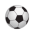 神农架队